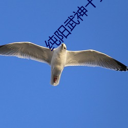 纯阳武神十步行 铁画银钩）
