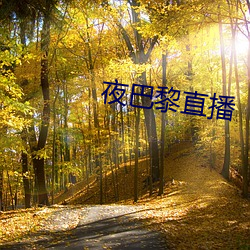 夜巴黎直播 （顽疾）
