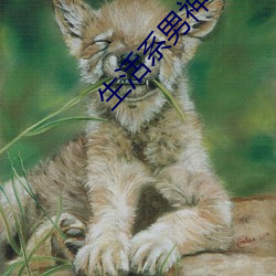 欧博abg - 官方网址登录入口