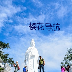 樱花导航 （皁白难分）