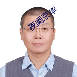 夜阑京华