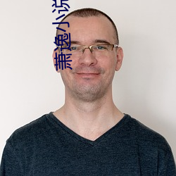 萧逸小说 （家喻户習）
