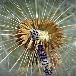 玄幻修真小说 （费话