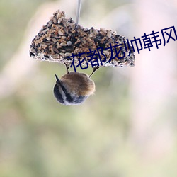 花都龙帅韩风 遗恩馀烈）