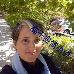 高干言情小说