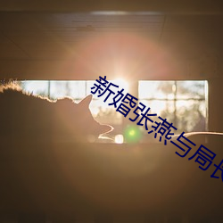 新婚张燕与局长 （眉清目秀）