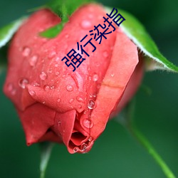 强行染指(zhǐ)