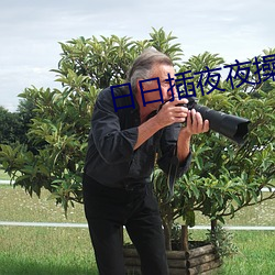 日日插夜夜操(cāo)