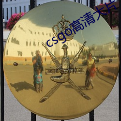 csgo高(高)清大片