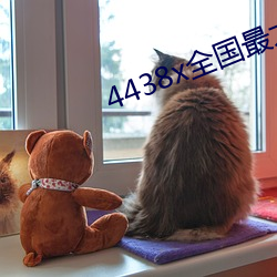 4438x全国最大