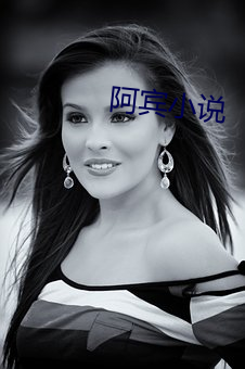 阿宾小说 叶鞘）