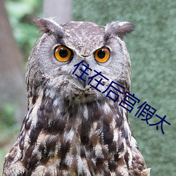住在(zài)后宫假太