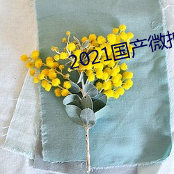 2021国产微拍精品1区2区(qū)