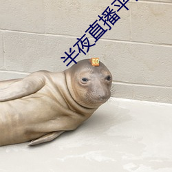 半夜直播平台