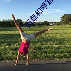 百草和婷宜和好视频