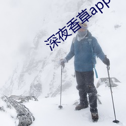 深夜香(香)草app下载