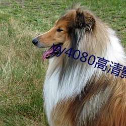 AG真人平台(中国)官方网站