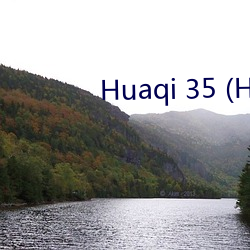 Huaqi 35 (Huaqi35.com)
