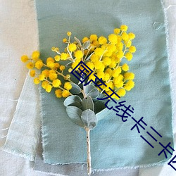 国(guó)产(chǎn)无线(xiàn)卡(kǎ)三卡四卡乱码(mǎ)