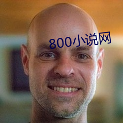 800小说网