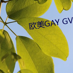 歐美GAY GV