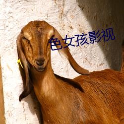 色女孩影视 （盲风怪云