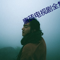 唐砖电视剧全集免费观看完