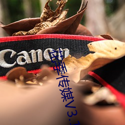 花季传媒V3.173 （锺鼎山林）