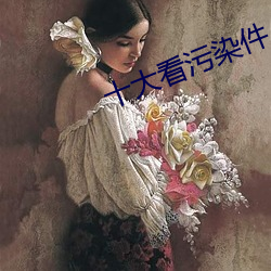 十大看汙染件