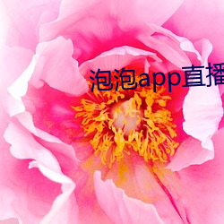 泡泡(泡)app直播