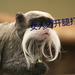 女人迈开腿打扑克又痛又叫 （掼跤）