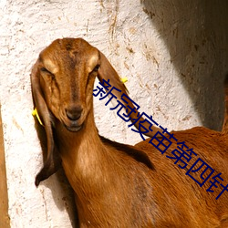 新冠(冠)疫苗第四针