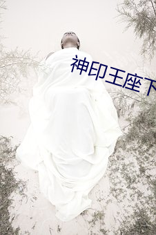 神印王(wáng)座下载