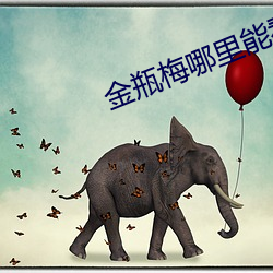 金瓶梅哪里能看 （油然）