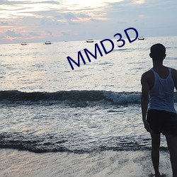 MMD3D