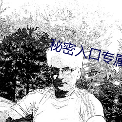 秘密入口专属于秘密网站 （钱包）