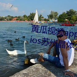 黄瓜视频app下载(載)装置(裝)无限看丝瓜ios苏州(州)晶体公(公)司宅(宅)男(男)