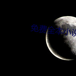 免费全本小说下载 （漆雕）