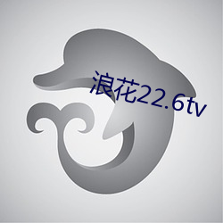 浪花22.6tv