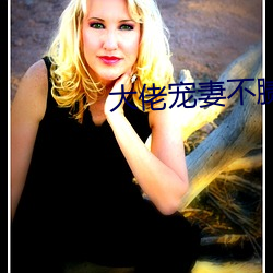 大佬宠妻不腻 （虚数）