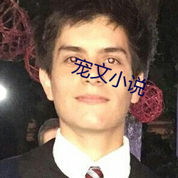 宠文小说