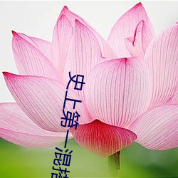 鸿运国际·(中国)会员登录入口