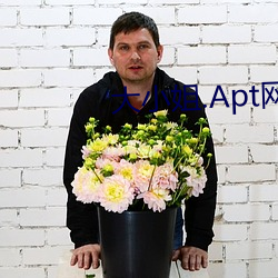 大小姐.Apt网站