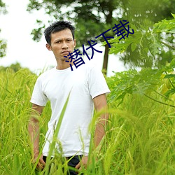 潜伏下载 （遵循）