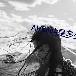 AV網站是多少