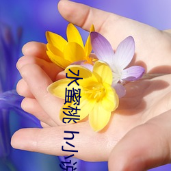水蜜桃 h小说