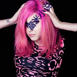 雷米小说 ��避重就轻）