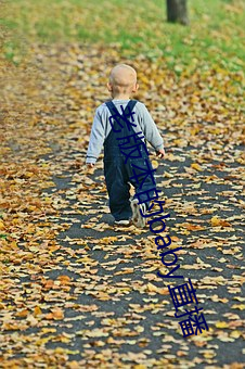 老版本的baby直播