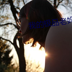 我的极品老妈 长逝）