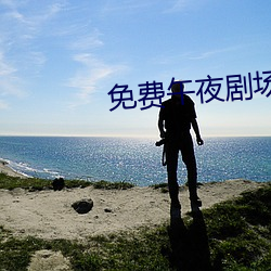 免费午(午)夜剧场